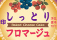Yukijirushi Baked Cheese Cake